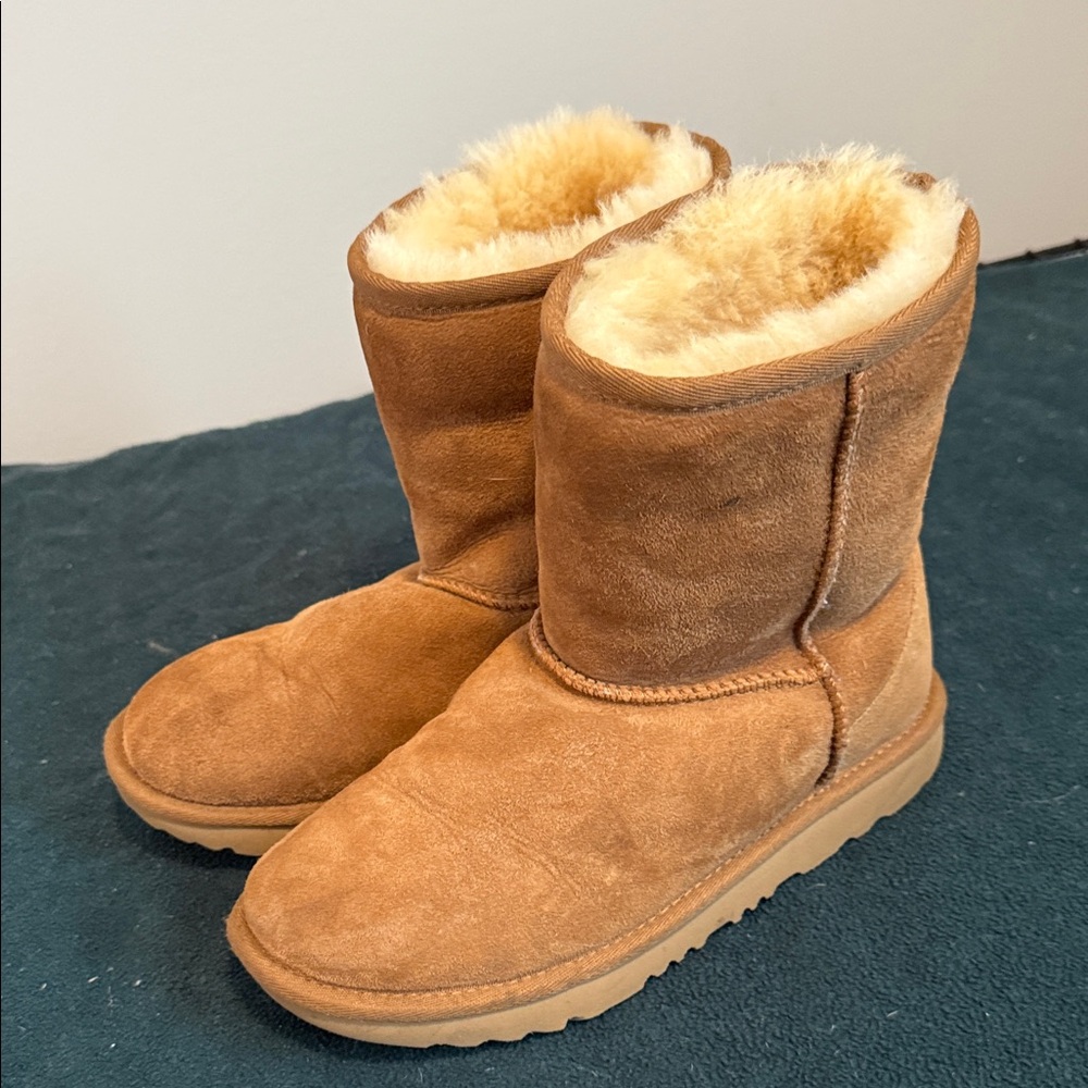 UGGS classic chestnut
